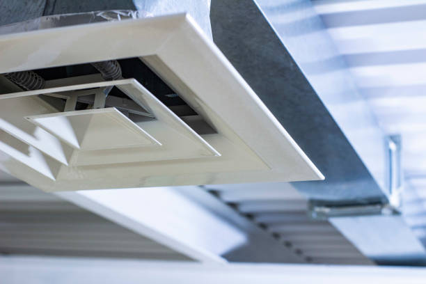 Best Dryer Vent Cleaning Services  in Williamstown, NJ