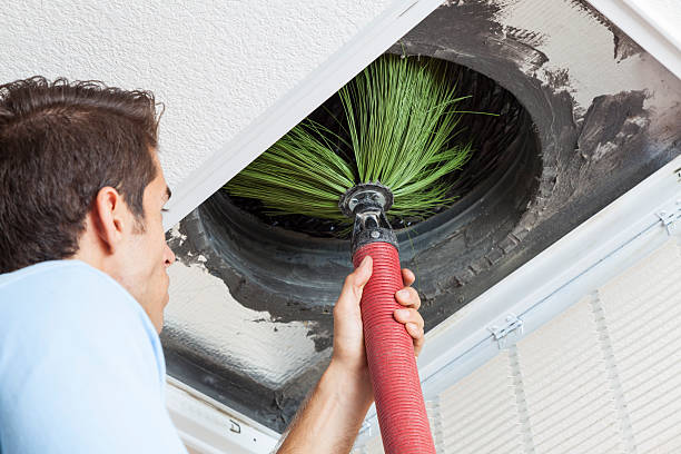 Best Air Vent Cleaning Services  in Williamstown, NJ
