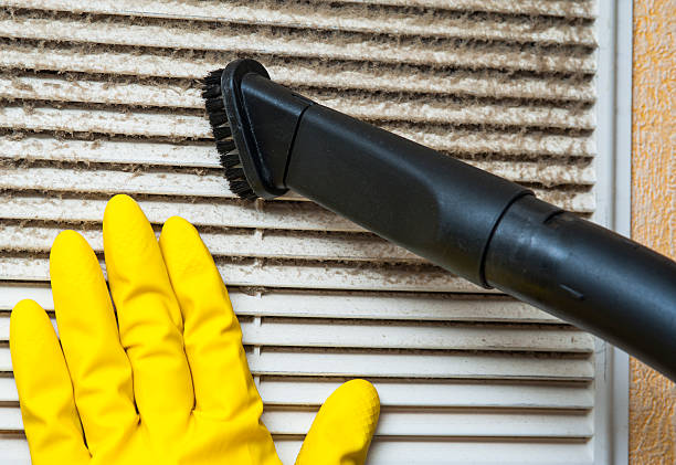 Best Ductwork Cleaning Services  in Williamstown, NJ