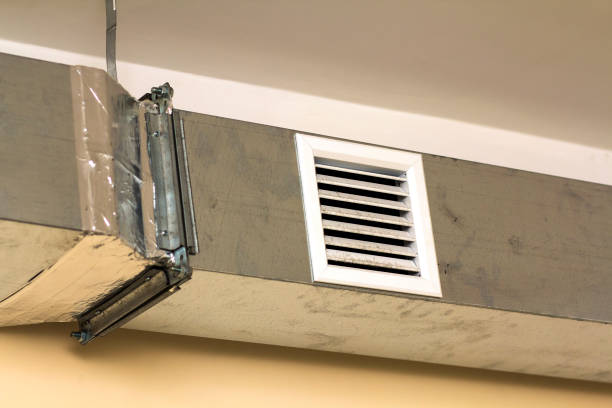 Best Local Air Duct Cleaning Services  in Williamstown, NJ